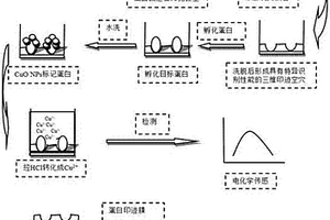 CuO標記技術用于厚度可控蛋白質分子印跡膜的制備