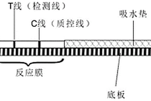 噻螨酮半抗原及其制備方法、噻螨酮抗原、抗體及其應用
