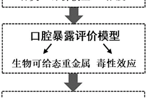 農產品重金屬口腔健康風險的評估方法