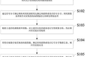 基于群感效應的微生物燃料電池系統開發方法