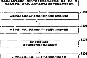 基于應用代謝組學對中藥知柏地黃丸療效的試驗方法