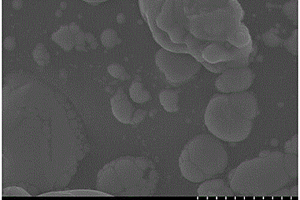 Bi<sub>2</sub>O<sub>3</sub>/劍麻纖維基碳復合材料的制備方法及其應用