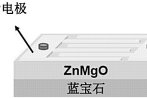 ZnMgO紫外探測器
