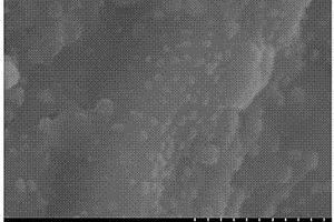 In<sub>2</sub>O<sub>3</sub>/劍麻纖維基碳復合材料的制備方法及其應用
