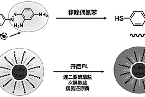 基于偶氮苯-量子点的荧光探针及制备方法以及其在分子开关型荧光传感器中的应用