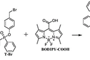 特異性識別超氧陰離子的BODIPY類熒光探針及其制備方法和應用