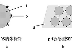 pH敏感型表面增強拉曼散射探針及其制備