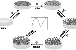 基于γ-聚谷氨酸接枝多巴胺@殼聚糖復合膠束的免疫傳感器的制備方法