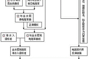 綜合監測海水入侵砂巖含水層方法