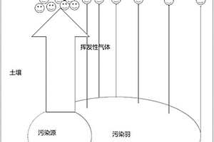 基于數理統計的多維基因定量技術調查石油類污染分布的方法