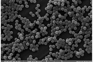 超疏水耐腐蝕抗菌納米涂料、涂層及其制備方法