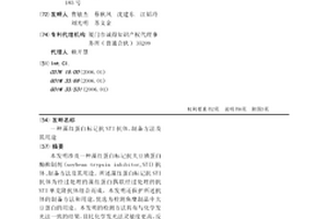藻紅蛋白標記抗STI抗體、制備方法及其用途