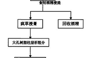 連續柱層析法提純苦馬豆素的工藝