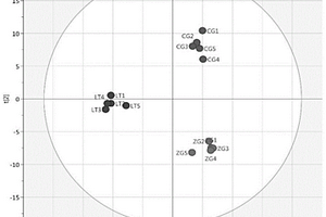 基于<Sup>1</Sup>H NMR代謝組學對人參不同部位粉體真偽的鑒別方法