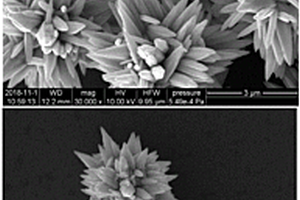 花狀氧化鋅納米片聚集材料及其制備方法、應用