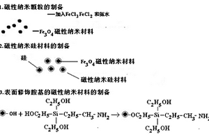 表面修飾胺基的磁性納米材料及其制備方法和應用