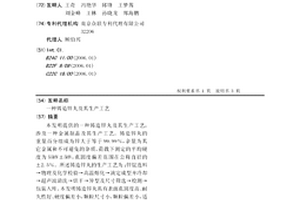 鑄造鋅丸及其生產工藝