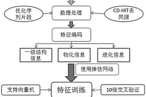 原核蛋白質乙?；稽c的預測方法