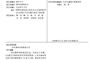 天麻藥材的鑒別方法