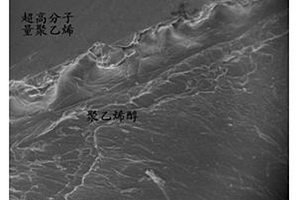 仿生軟骨材料與硬面基底結合的仿生材料的制備工藝