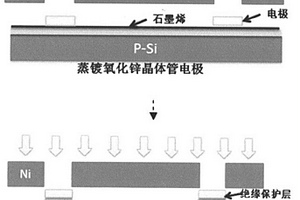 石墨烯晶體管及其生物傳感器的制作與應用方法