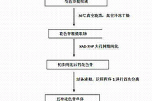 從葡萄皮中分離制備五種高純度花色苷單體的方法