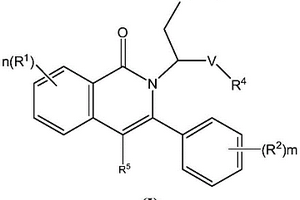 N-烷基取代芳基異喹啉酮化合物，其制備方法及藥物組合物和應用