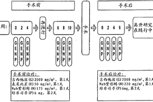 SPARC微環境標簽在癌癥治療中的應用