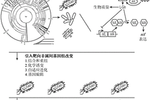 包括重構固氮微生物的農業組合物