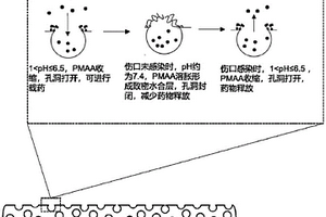 智能釋放藥物的柔性纖維藥盒及其制備和應用