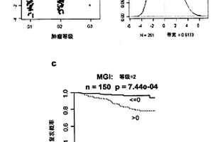 腫瘤分級和癌癥預后