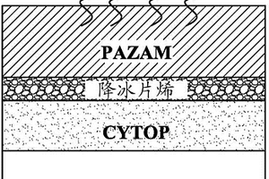使用圖案化疏水性表面進行的自組裝圖案化