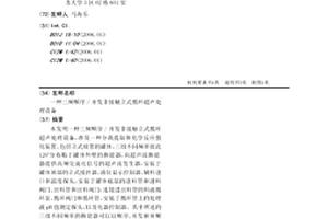 三頻順序/并發非接觸立式循環超聲處理設備