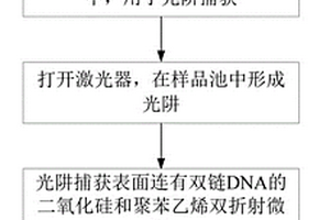 基于雙折射微球旋轉的DNA解螺旋的方法和裝置