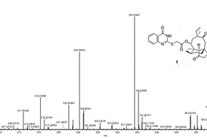 截短側耳素衍生物及其應用