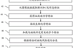 醫學成像中的斑塊易損性評定