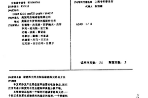 碳燃料元件及制備碳燃料元件的方法