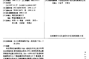 從人分離的編碼C6β-趨化因子Lkn-1的cDNA