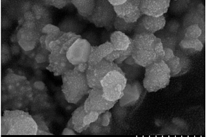 用于固體氧化物燃料電池陰極的納米核殼結構催化劑及其制備方法和用途