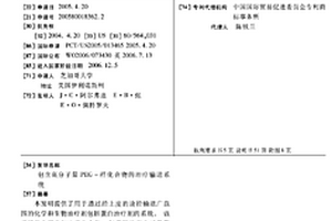 包含高分子量PEG-樣化合物的治療輸送系統
