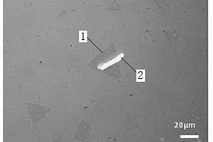 GaSe/MoS<Sub>2</Sub>異質結的制備方法