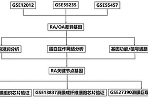 類風濕性關節炎的潛在免疫分子及信號通路的篩選方法