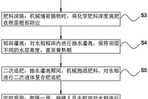 寒地水稻減排豐產增效栽培方法