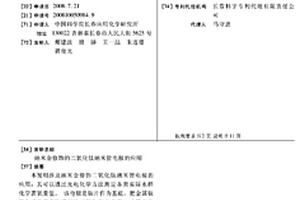 納米金修飾的二氧化鈦納米管電極的應用
