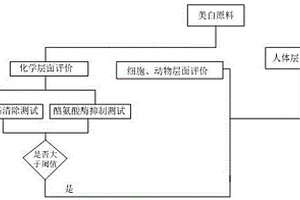 美白原料功效評價體系及評價方法