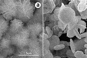 自組裝超薄花狀鎳鈷磷化物電催化材料的制備方法