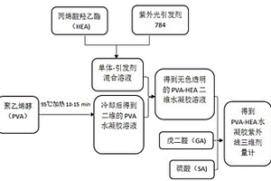 PVA-HEA紫外線三維劑量計的制備方法及應用