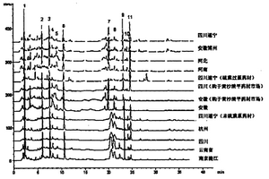 白芷藥材水提液指紋圖譜及其建立方法和應用