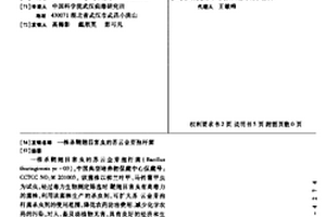 一株殺鞘翅目害蟲的蘇云金芽孢桿菌