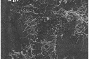 復合堿金屬氫氧化物溶劑制備硒化物和碲化物納米材料的方法